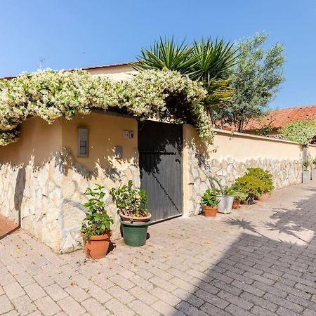 Appartamento Casa “Oasi Del Mare” Livorno Esterno foto
